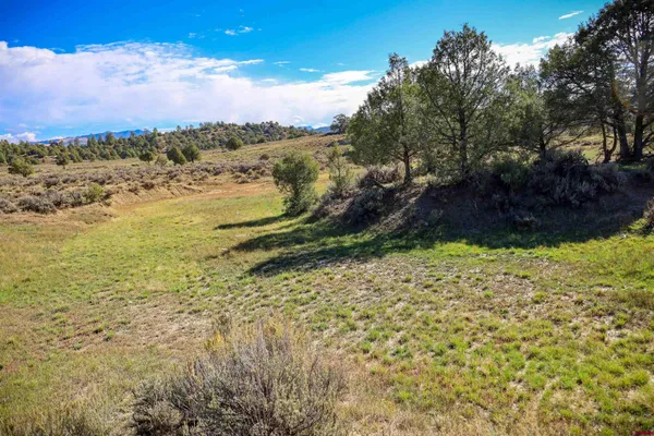 $199,000 | X Tall Pine Place, Pagosa Springs, CO 81147