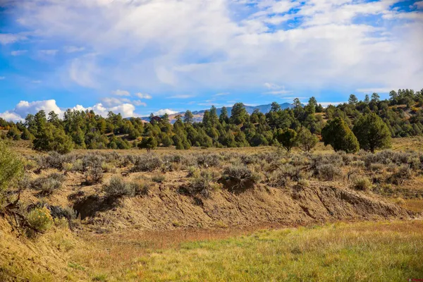 $199,000 | X Tall Pine Place, Pagosa Springs, CO 81147