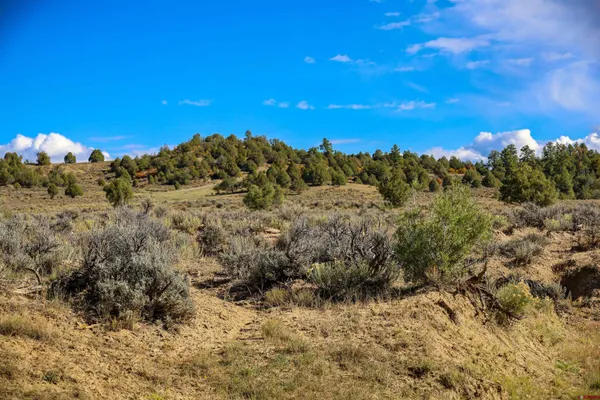 $199,000 | X Tall Pine Place, Pagosa Springs, CO 81147