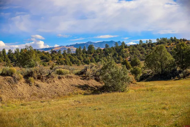a view of a field with a forest