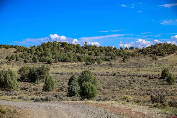 $199,000 | X Tall Pine Place, Pagosa Springs, CO 81147