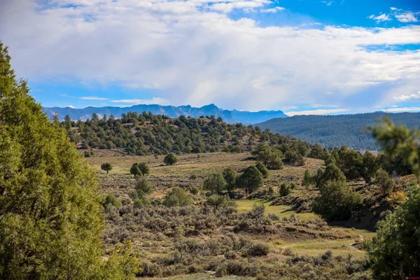 $199,000 | X Tall Pine Place, Pagosa Springs, CO 81147
