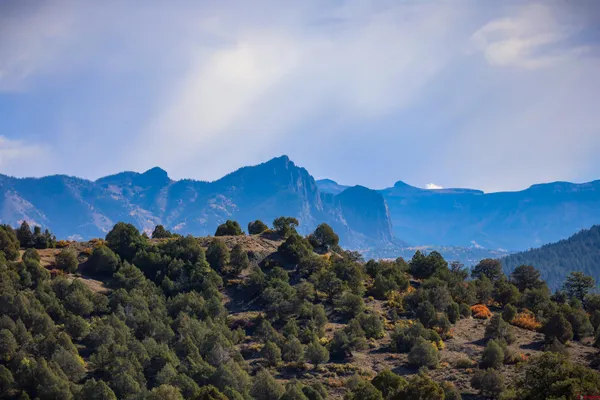 $199,000 | X Tall Pine Place, Pagosa Springs, CO 81147