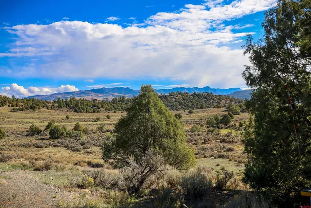 a view of a road with a yard