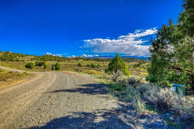 $199,000 | X Tall Pine Place, Pagosa Springs, CO 81147