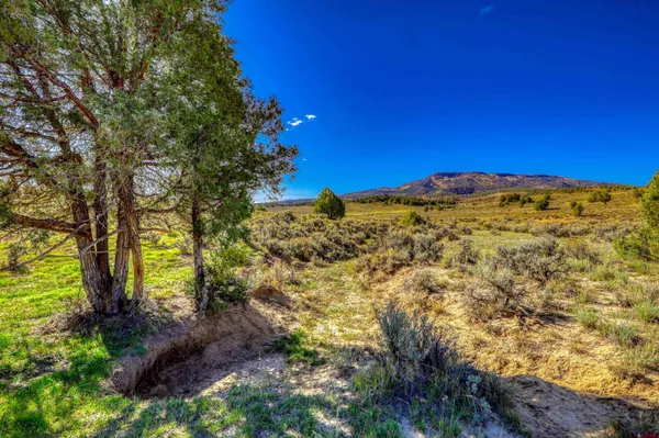 a view of a large window with an outdoor space