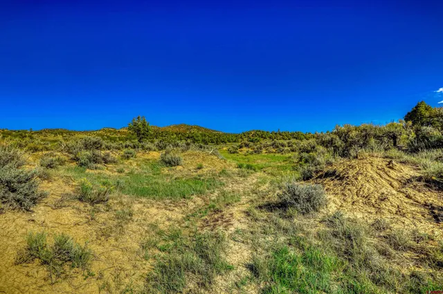 a view of a large window with an outdoor space