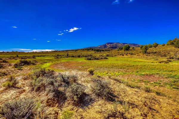 a view of an ocean and beach