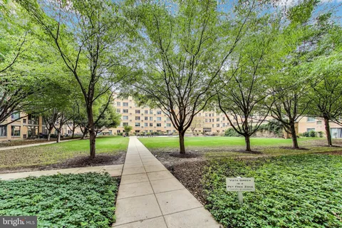 a view of park with trees