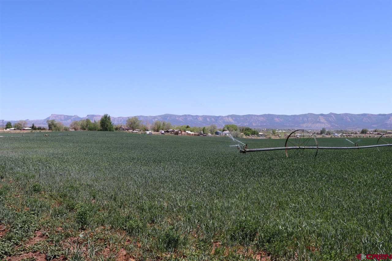 23720 County Rd M Cortez, CO 81321 - Photo 11 of 34