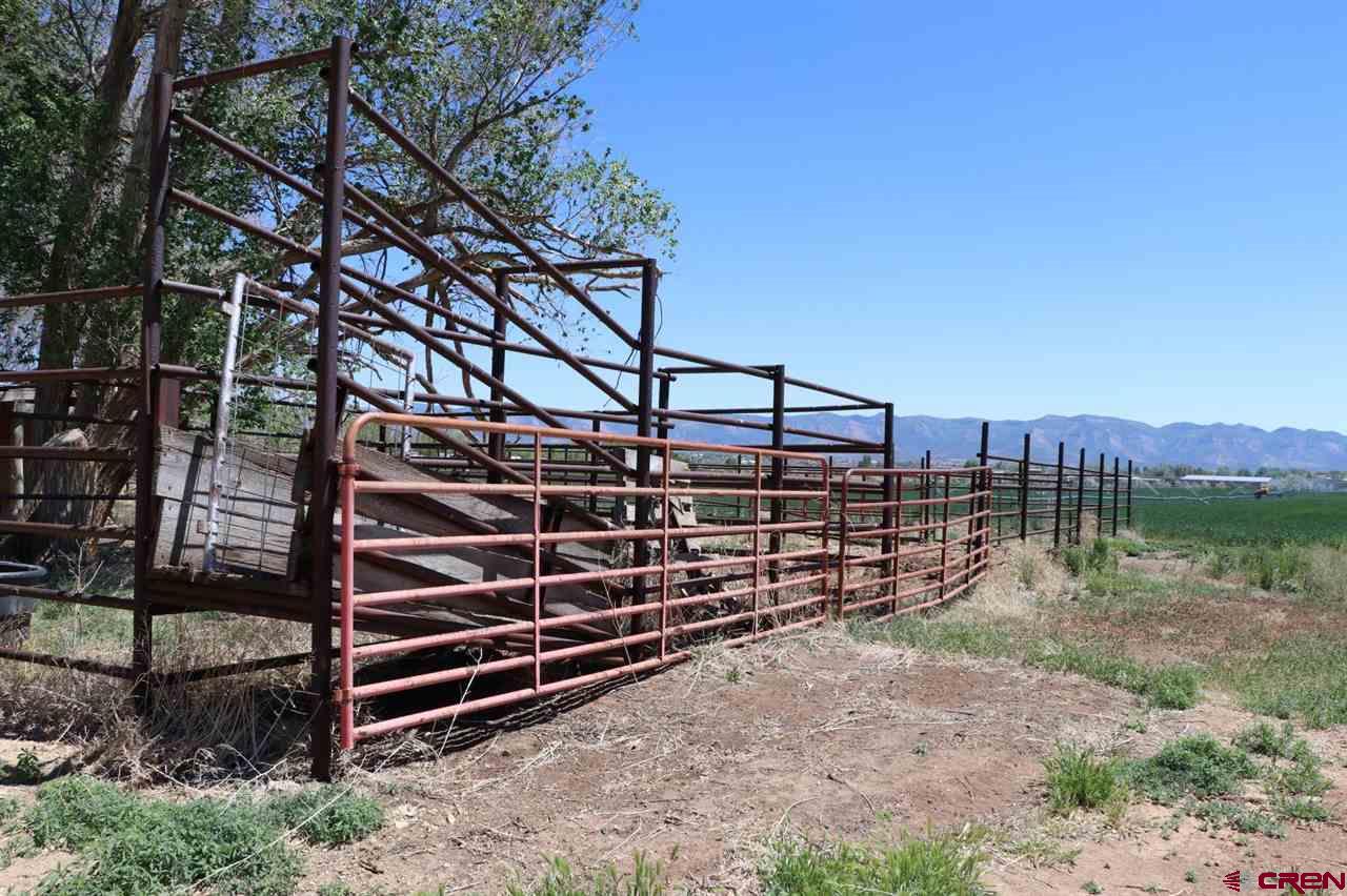 23720 County Rd M Cortez, CO 81321 - Photo 7 of 34 a backyard of a house with large trees and a wooden fence
