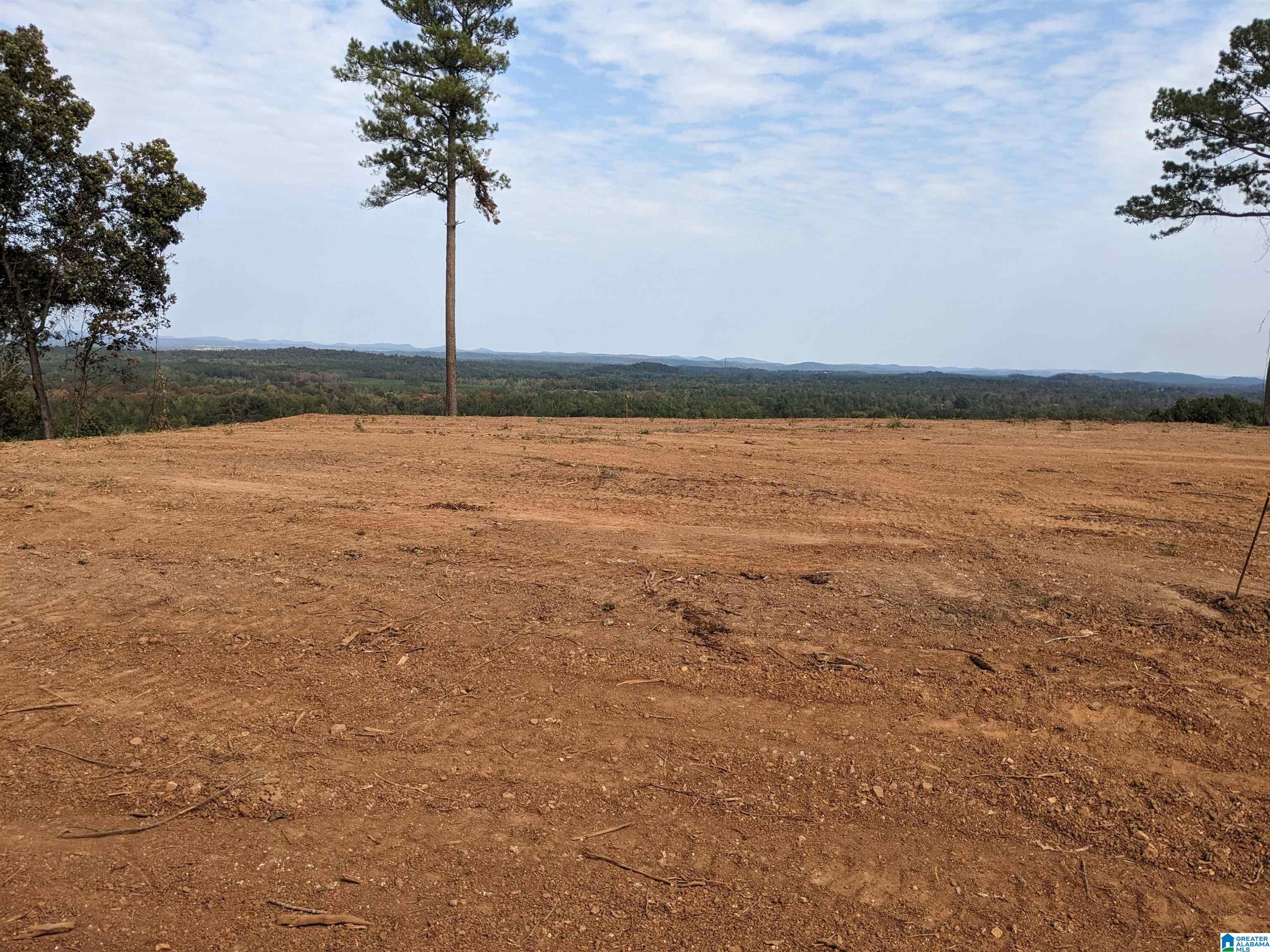 16091 Jackson Trace Road Lincoln, AL 35096 - Photo 10 of 17