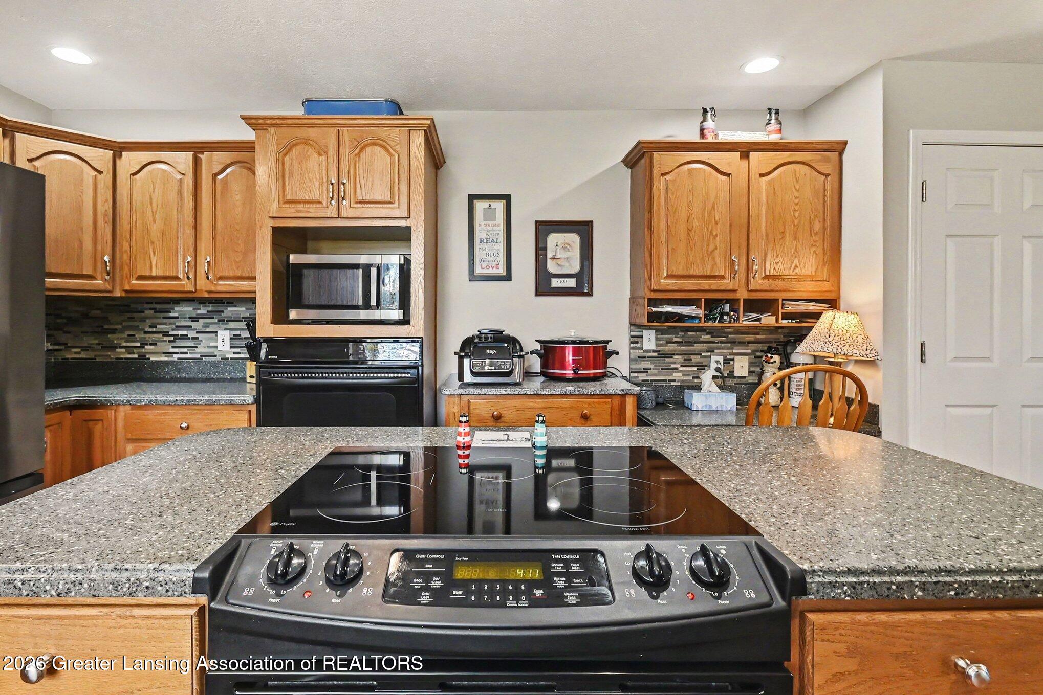 1113 Hawks Ridge Grand Ledge, MI 48837 - Photo 10 of 45 014_file_7050