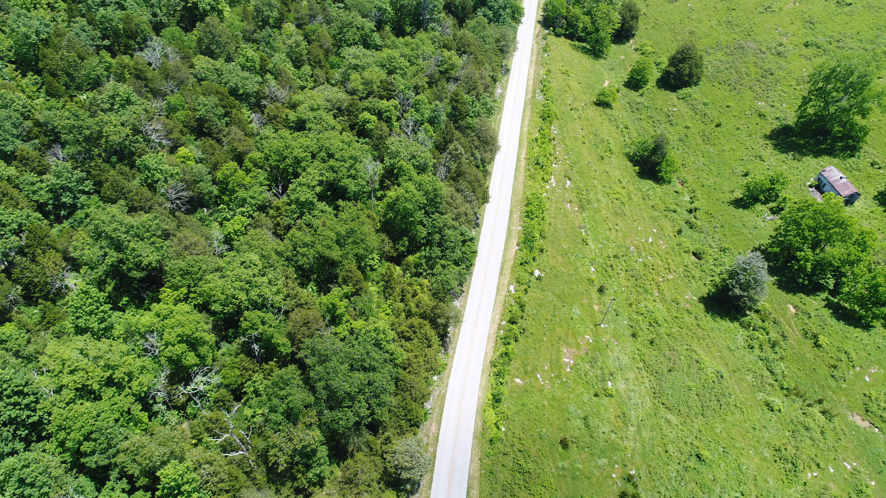 2000 Blue Springs Road Mount Vernon, KY 40456 - Photo 5 of 43 DJI_0074