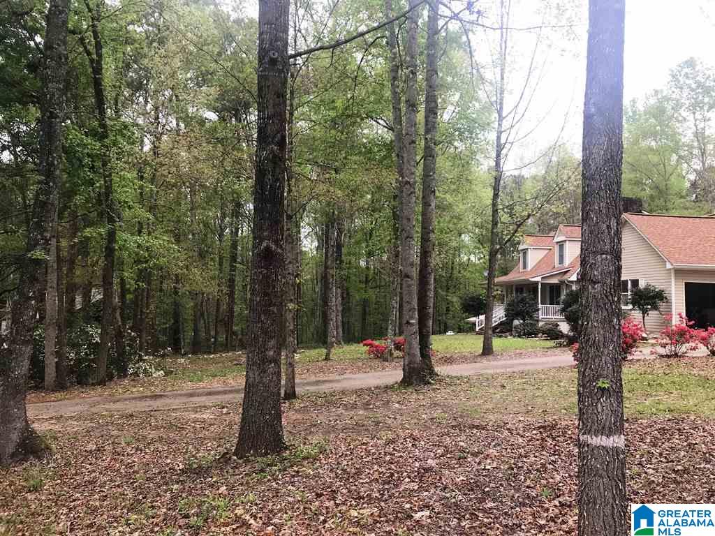 263 Cauthen Circle Roanoke, AL 36274 - Photo 4 of 28