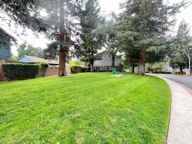 a view of a park with large trees