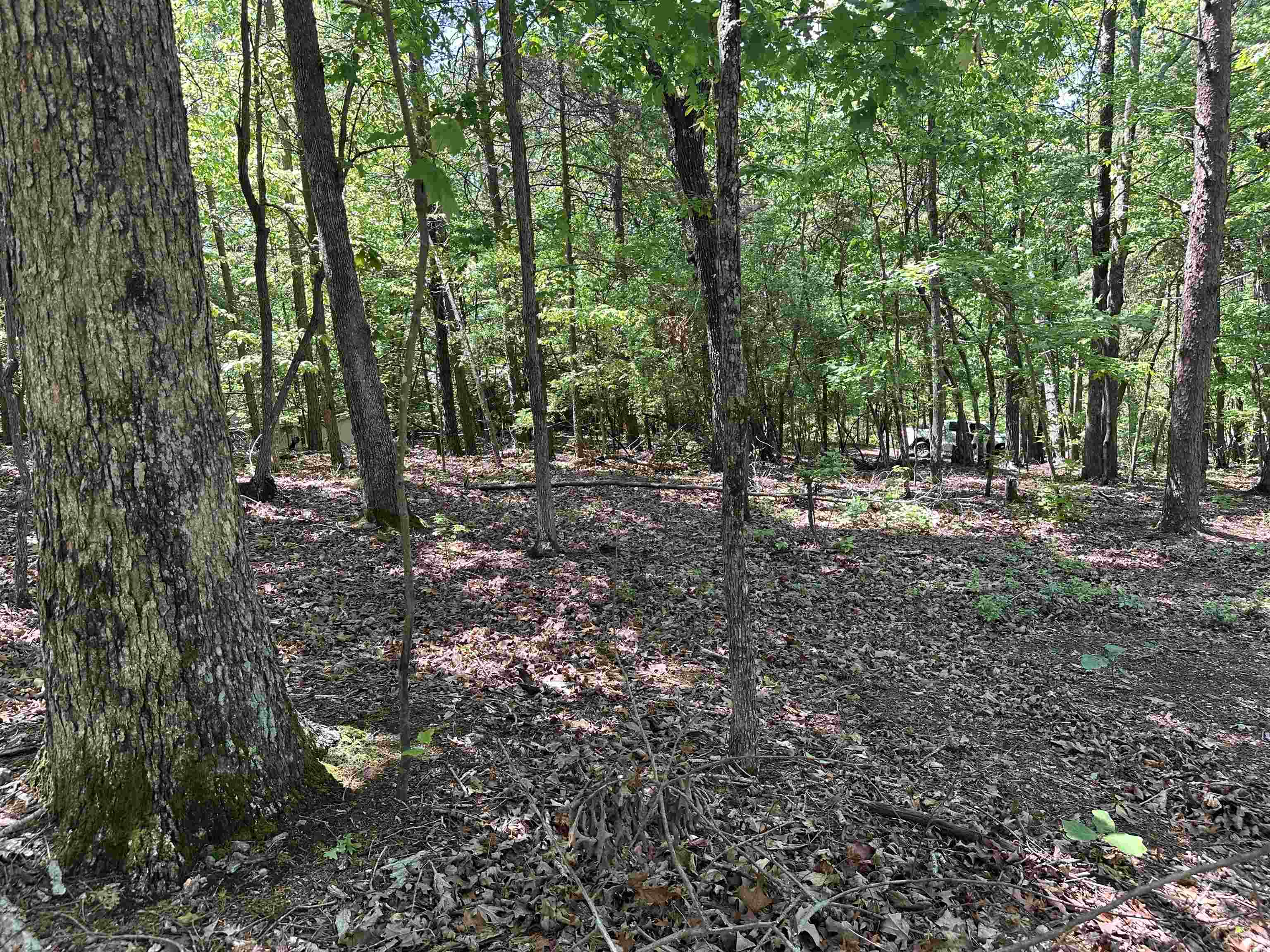 1741 Old Pacolet Road Spartanburg, SC 29307 - Photo 2 of 9 Gallery Image 2