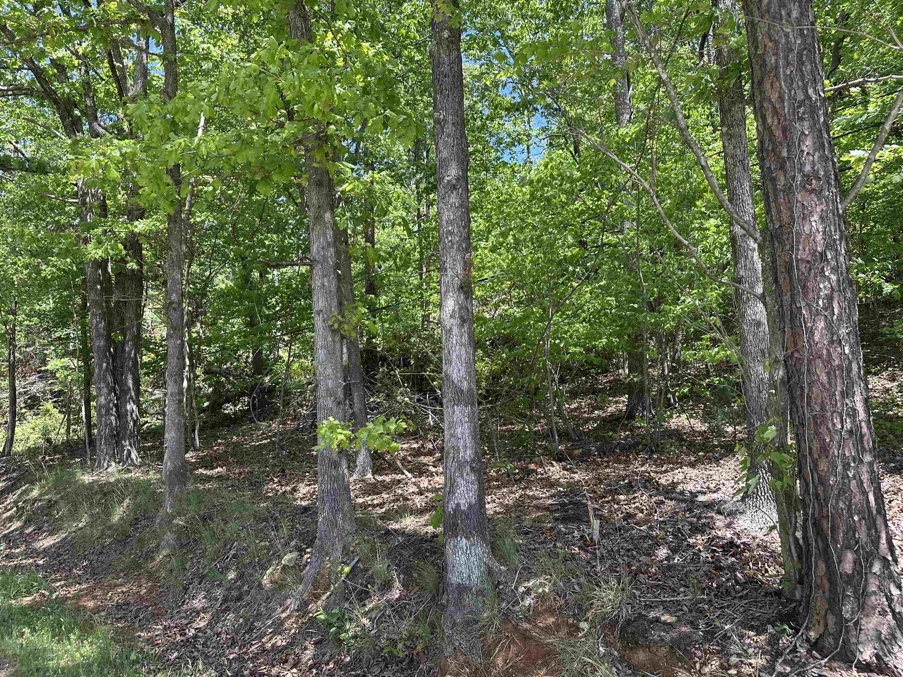 1741 Old Pacolet Road Spartanburg, SC 29307 - Photo 4 of 9 Gallery Image 4