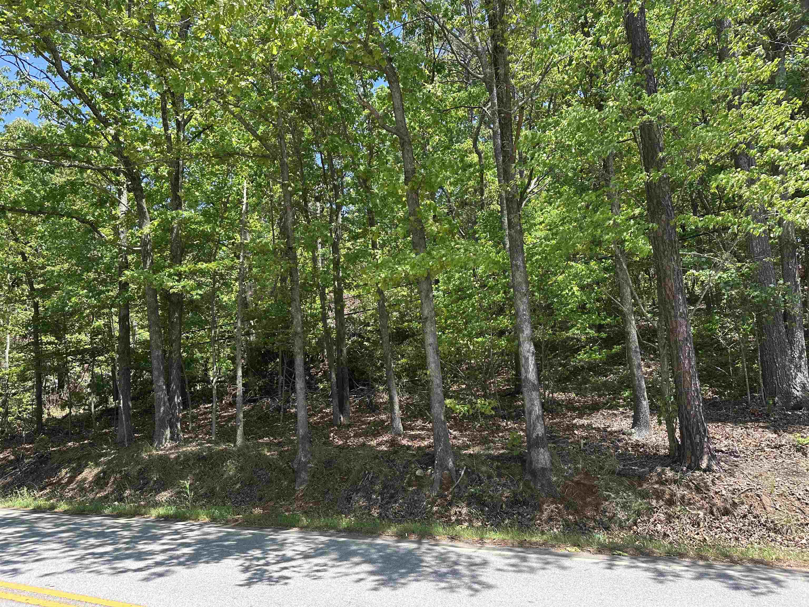 1741 Old Pacolet Road Spartanburg, SC 29307 - Photo 6 of 9 Gallery Image 6