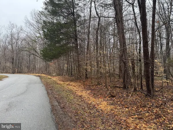 a view of a yard with large trees