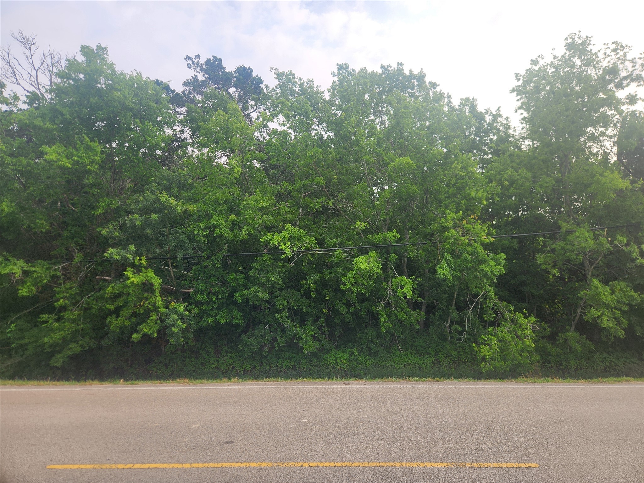 3902 West Cedar Bayou Lynchburg Road Baytown, TX 77521 - Photo 6 of 17 a view of a yard and trees