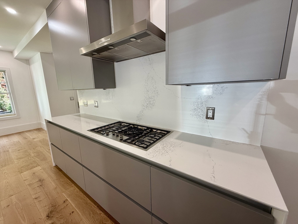 2 Effie Place Lexington, MA 02421 - Photo 8 of 36