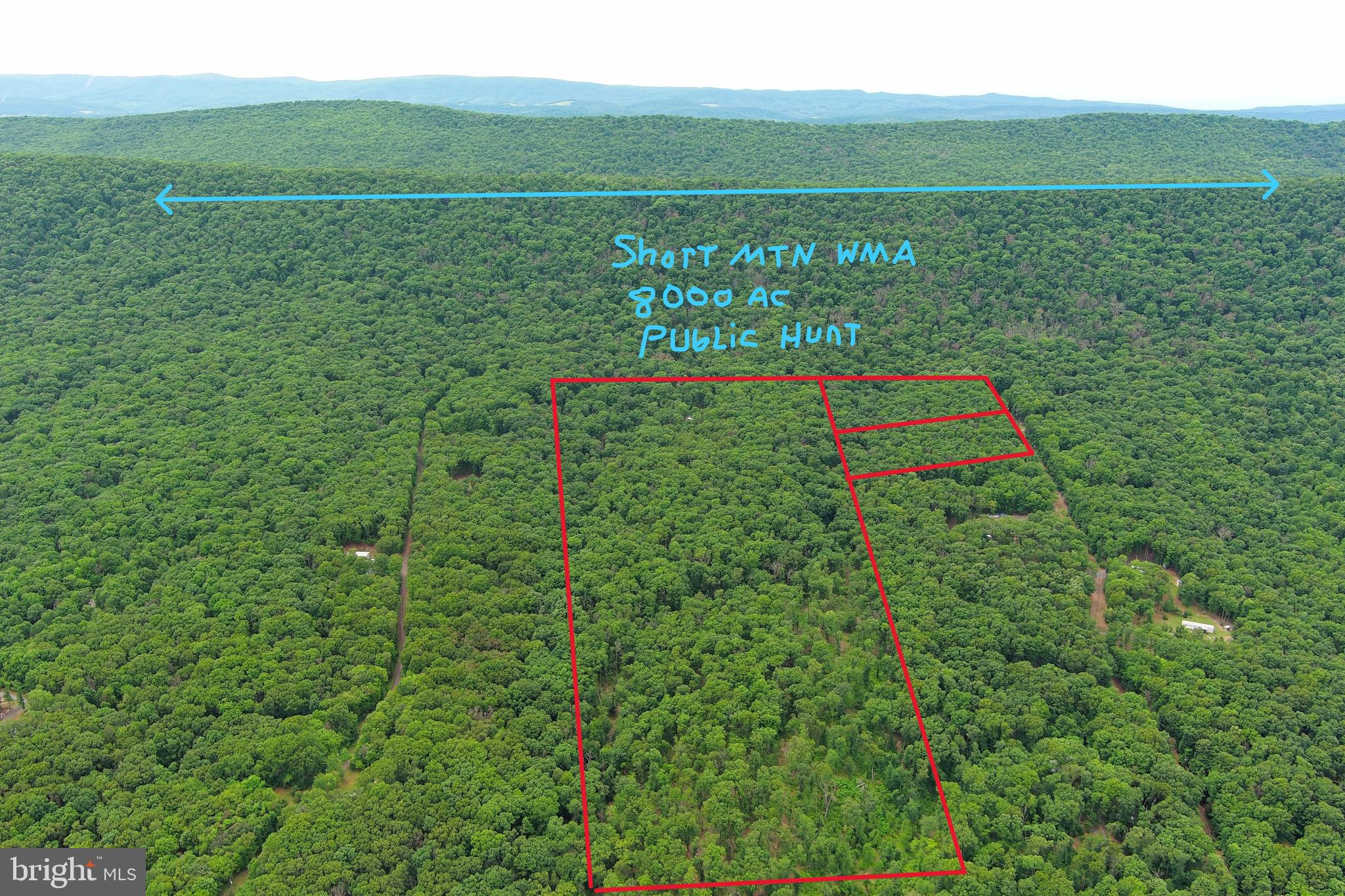1419 Paul's Woods Road Delray, WV 26714 - Photo 5 of 105