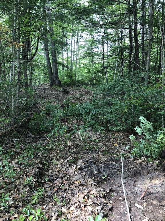 0 North Fitzwilliam Road Royalston, MA 01368 - Photo 3 of 8 Gallery Image 3