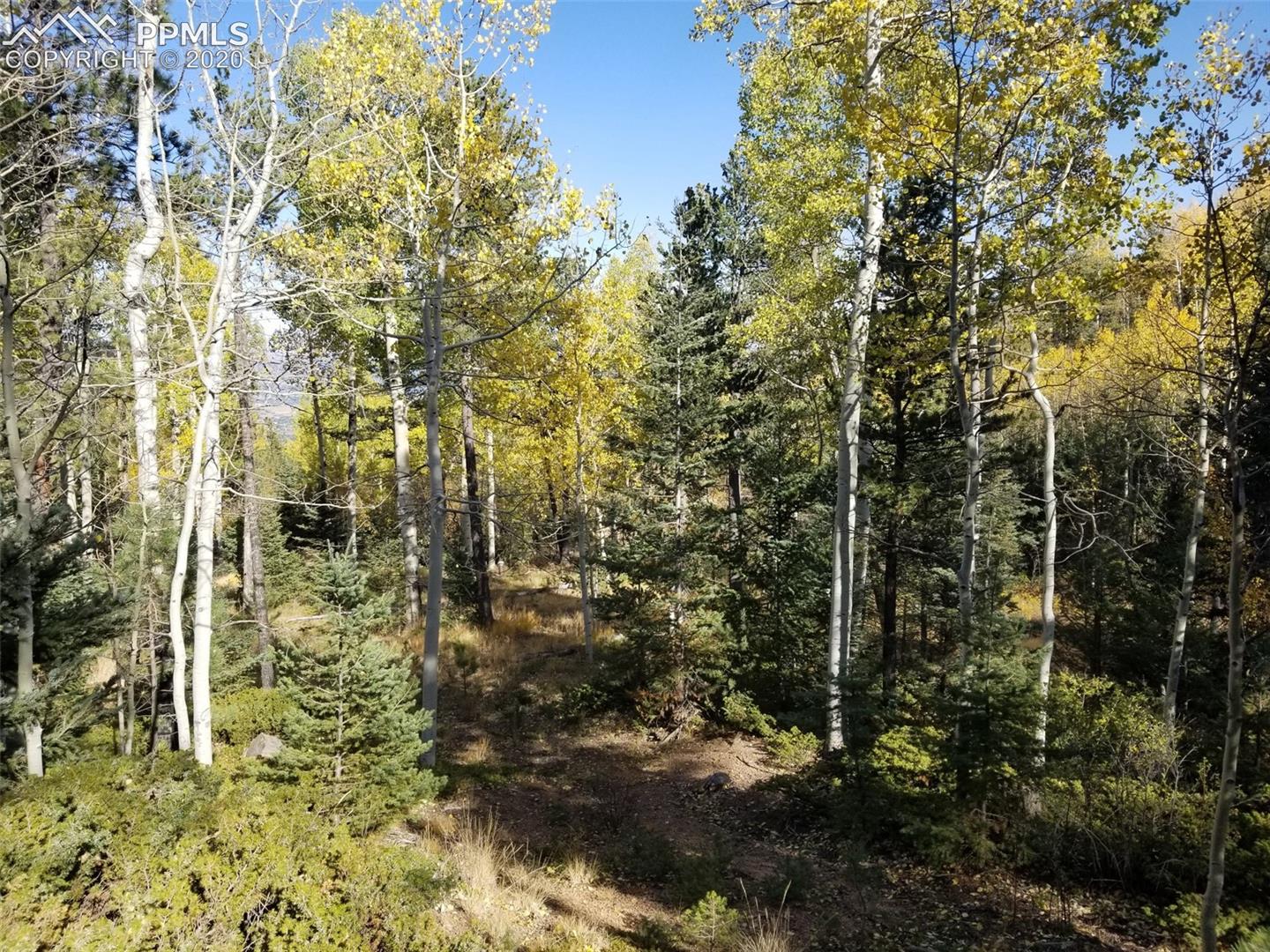 Forest Road Manitou Springs, CO 80829 - Photo 1 of 23 Gallery Image 1
