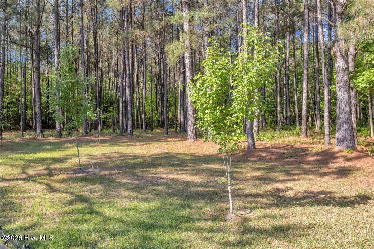 159 Big Macedonia Road Northwest Supply, NC 28462 - Photo 121 of 148 Pear Trees