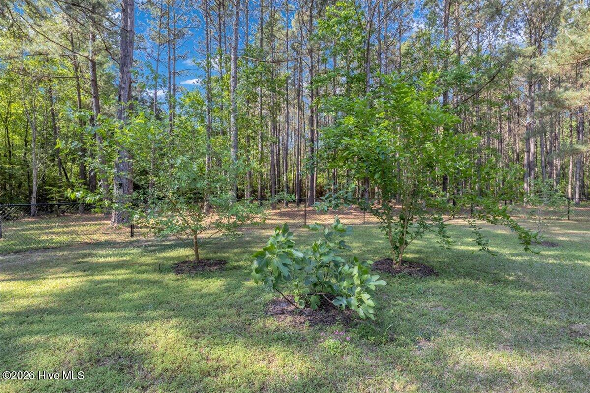 159 Big Macedonia Road Northwest Supply, NC 28462 - Photo 122 of 148 Mulberry and Fig Trees