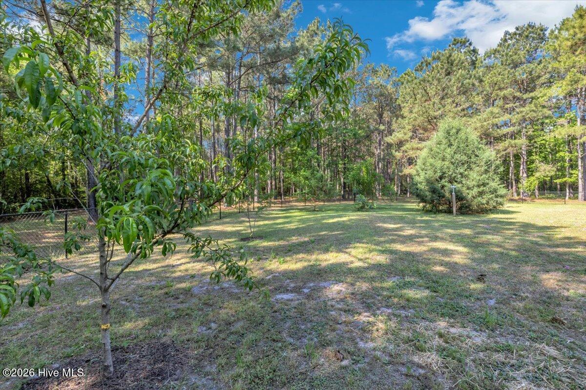 159 Big Macedonia Road Northwest Supply, NC 28462 - Photo 123 of 148 Peach Trees