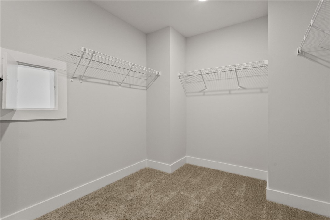 313 Old Shirley Road Central, SC 29630 - Photo 25 of 30 This spacious walk-in closet offers ample storage with practical shelving and comfortable carpeting.