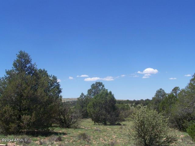 10654 West Red Bluff Road, Unit 635 Williams, AZ 86046 - Photo 1 of 20 20140817054800669911000000-o