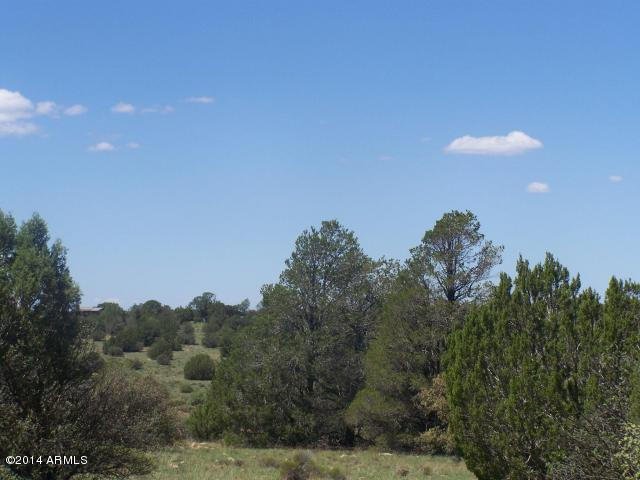 10654 West Red Bluff Road, Unit 635 Williams, AZ 86046 - Photo 16 of 20 20140817054051986925000000-o