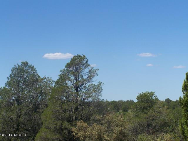 10654 West Red Bluff Road, Unit 635 Williams, AZ 86046 - Photo 17 of 20 20140817054212854174000000-o
