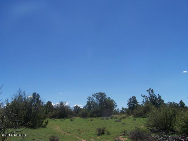 10654 West Red Bluff Road, Unit 635 Williams, AZ 86046 - Photo 18 of 20 20140817054317793604000000-o