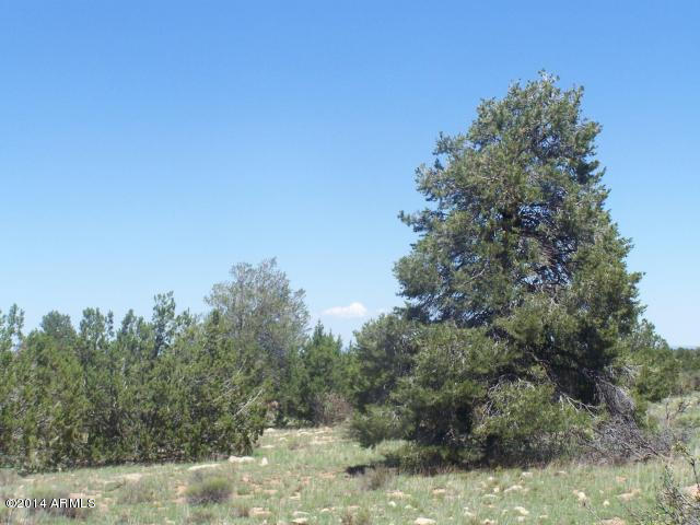 10654 West Red Bluff Road, Unit 635 Williams, AZ 86046 - Photo 19 of 20 20140817054440947407000000-o