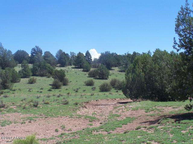 10654 West Red Bluff Road, Unit 635 Williams, AZ 86046 - Photo 3 of 20 20140817051748330882000000-o