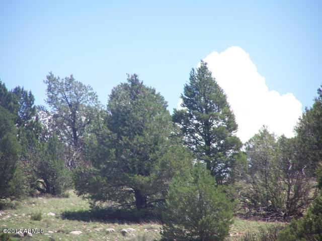 10654 West Red Bluff Road, Unit 635 Williams, AZ 86046 - Photo 4 of 20 20140817051902162862000000-o