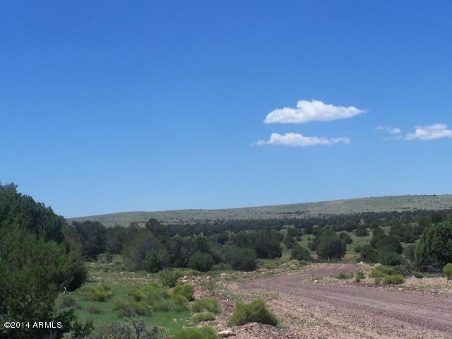 10654 West Red Bluff Road, Unit 635 Williams, AZ 86046 - Photo 5 of 20 20140817052009169243000000-o