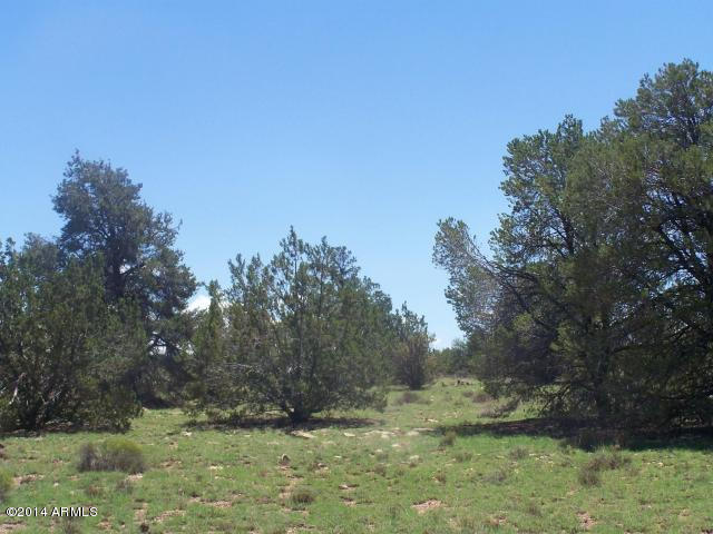 10654 West Red Bluff Road, Unit 635 Williams, AZ 86046 - Photo 6 of 20 20140817052202952058000000-o