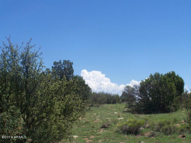 10654 West Red Bluff Road, Unit 635 Williams, AZ 86046 - Photo 7 of 20 20140817052407333225000000-o