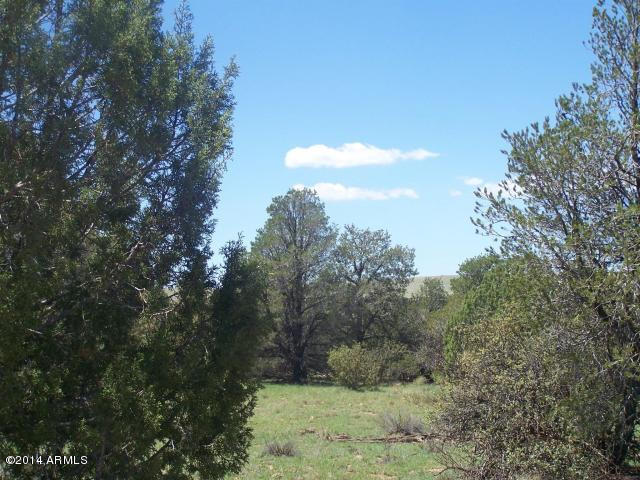 10654 West Red Bluff Road, Unit 635 Williams, AZ 86046 - Photo 8 of 20 20140817052733316966000000-o