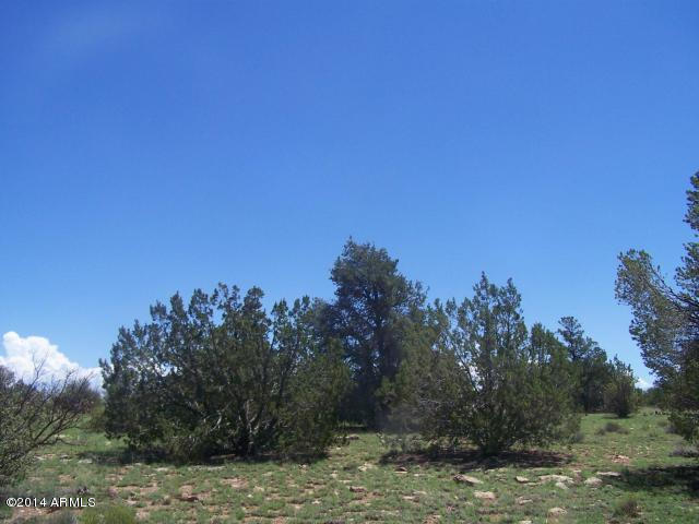 10654 West Red Bluff Road, Unit 635 Williams, AZ 86046 - Photo 10 of 20 20140817053201737486000000-o