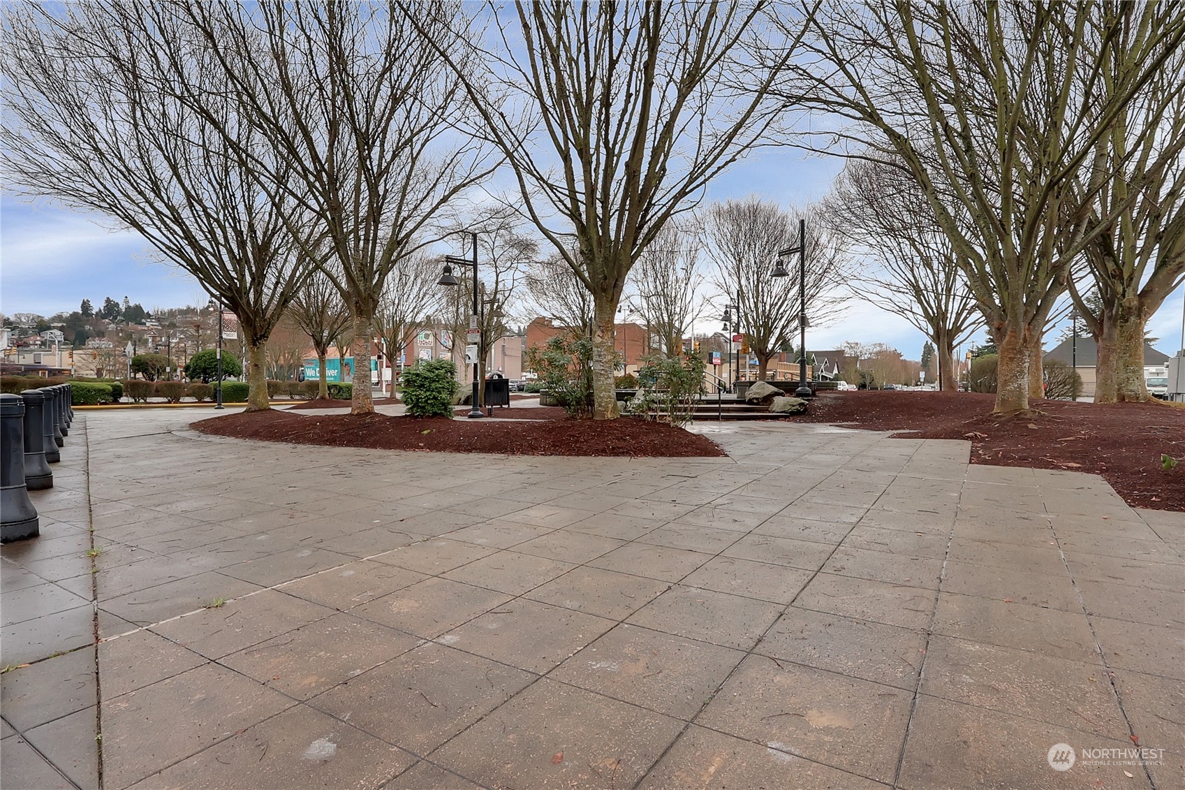 225 Logan Avenue South, Unit 307 Renton, WA 98057 - Photo 5 of 23 a view of road with with cars