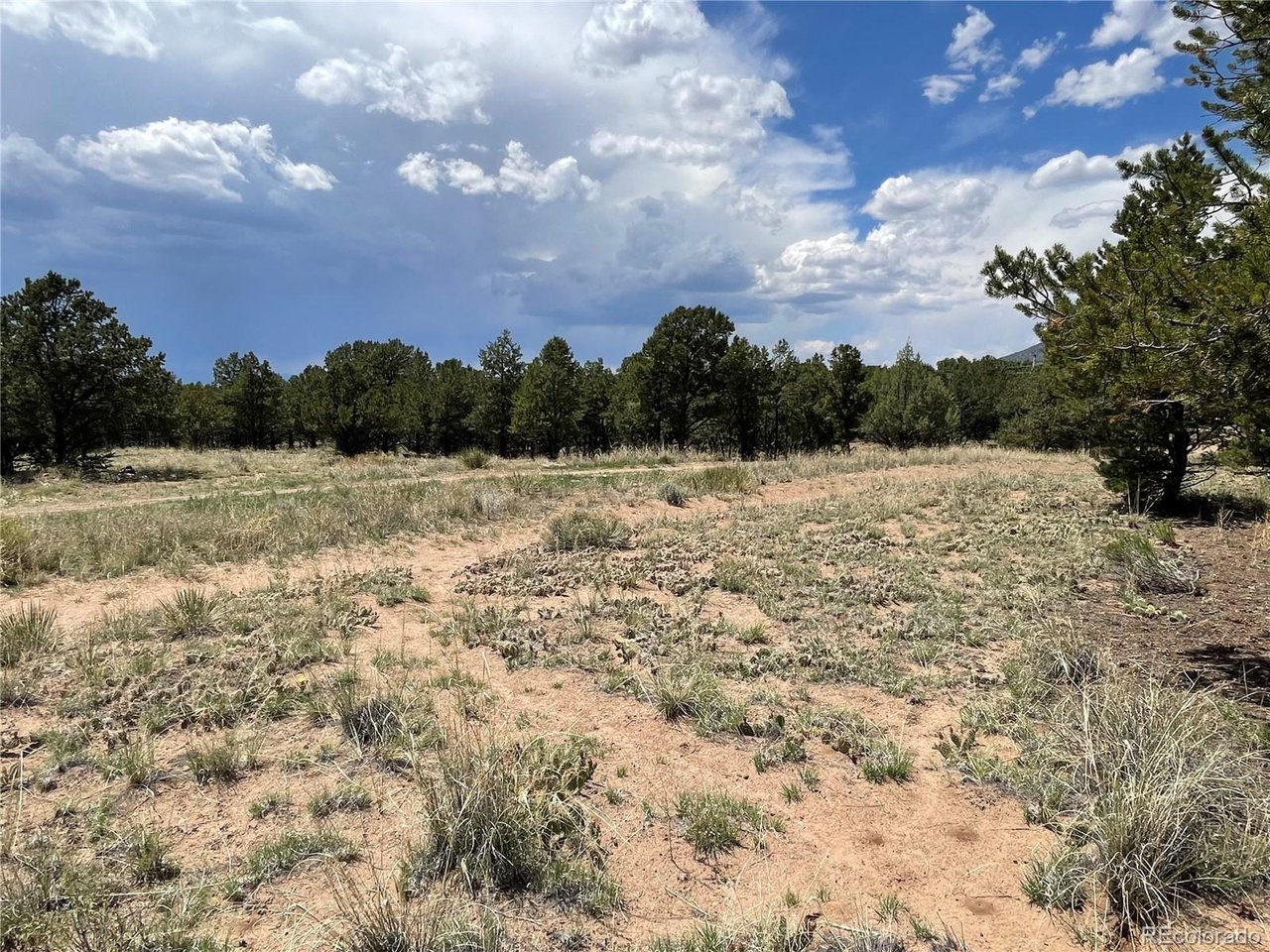 1 Block 61 Crestone, CO 81131 - Photo 7 of 11 a view of outdoor space with trees