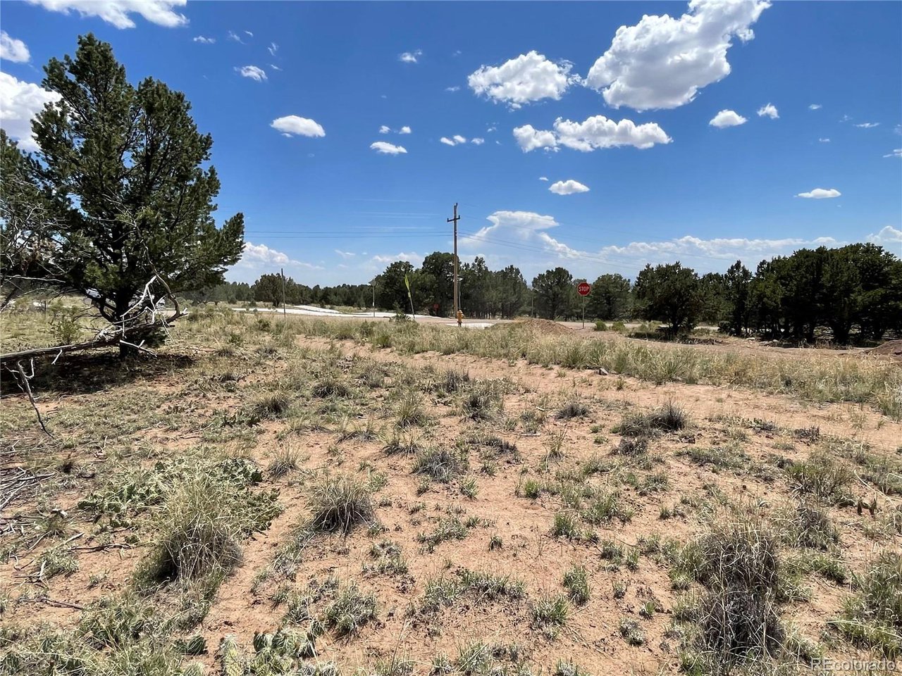1 Block 61 Crestone, CO 81131 - Photo 8 of 11 a view of a yard with a tree in the background