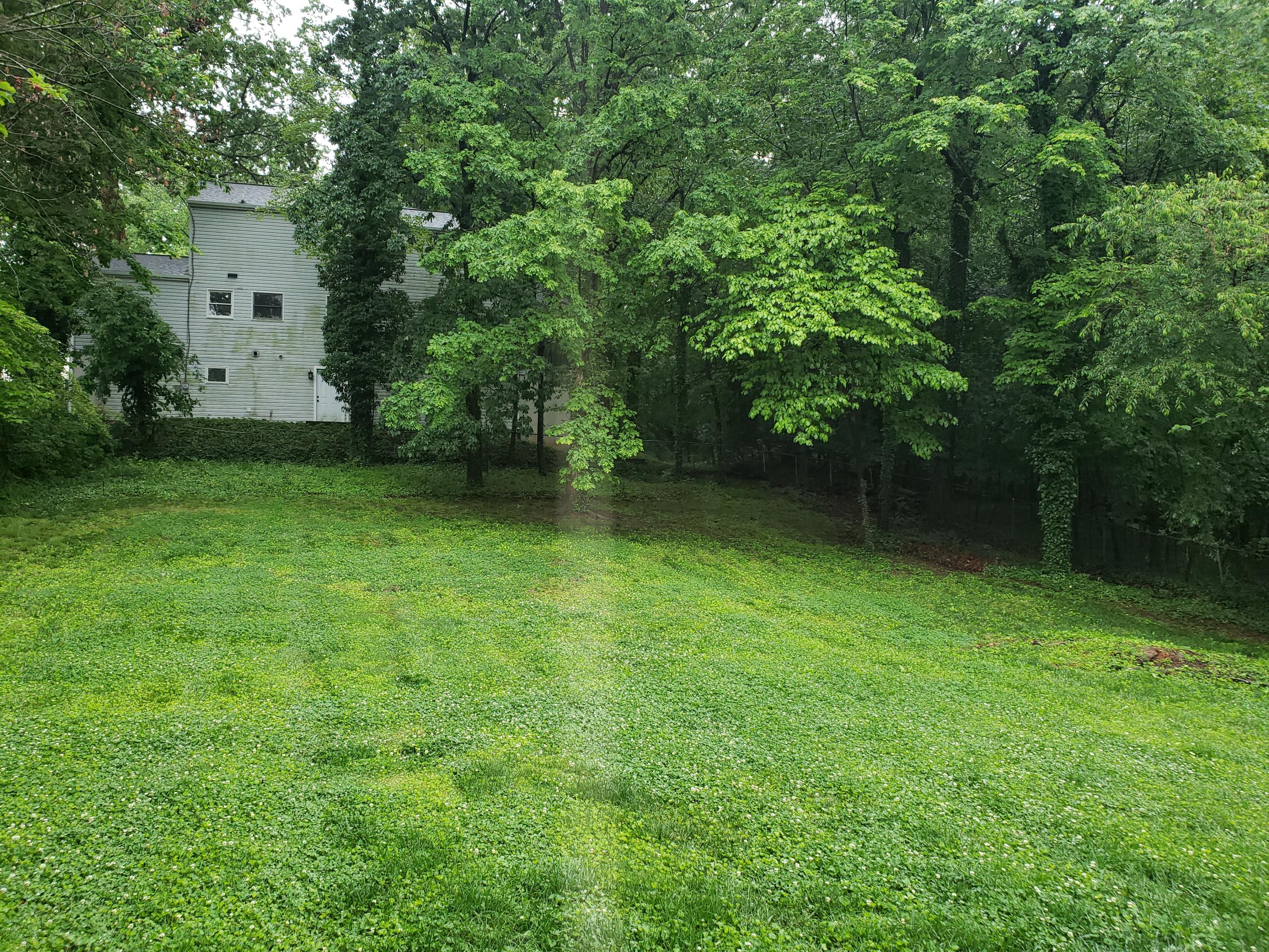 2530 Livingston Road Southwest Roanoke, VA 24015 - Photo 22 of 25 Rear Yard