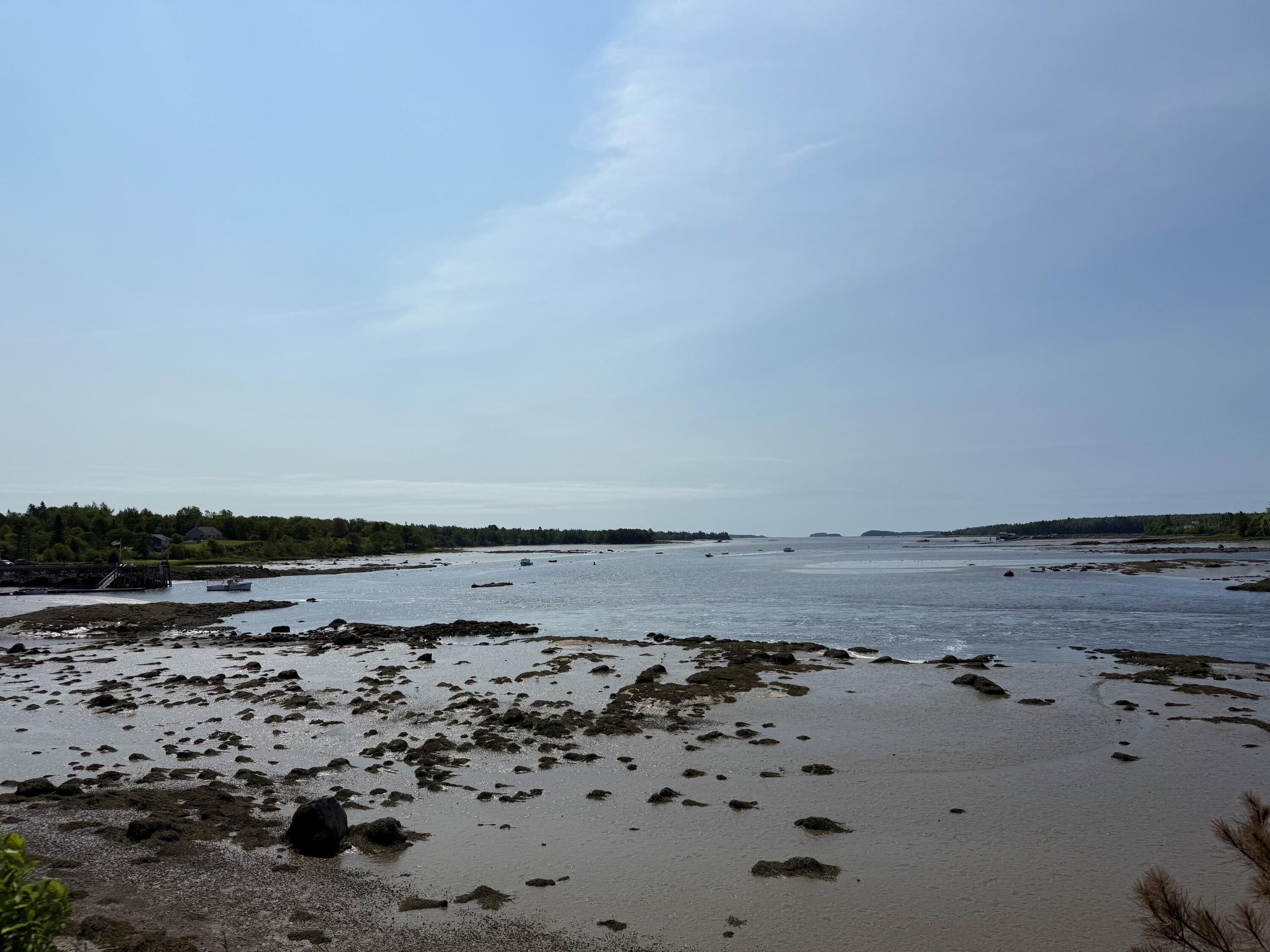 50 Ficketts Point Road Milbridge, ME 04658 - Photo 24 of 24 Ocean nearby property